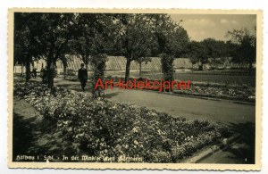 Ilowa - Halbau - Park - Photographic