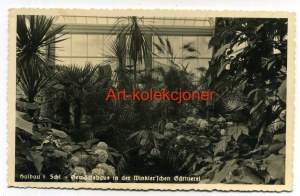 Ilowa - Halbau - Palm House - Garden