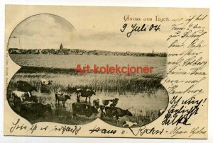 Elk - Lyck - Gruss