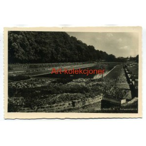Głubczyce - Leobschutz - Promenada