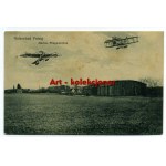 Puck - Putzig - Hangar - Planes