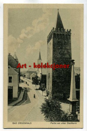 Glucholazy - Bad Ziegenhals - Bastion - Tower