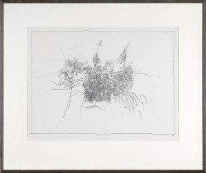 Jerzy Stajuda, WITHOUT TITLE, 1979