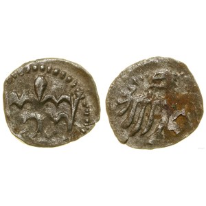 Poland, crown denarius, Cracow