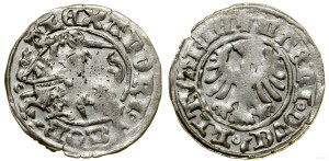 Poland, half-penny, Vilnius