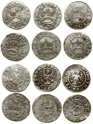 Poland, set: 6 x half-penny, 1507-1526, Kraków and Świdnica