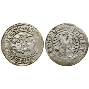 Polska, półgrosz, 1510, Wilno