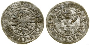 Poland, sheląg, 1531, Gdansk