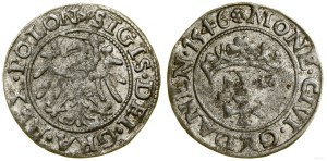 Poland, sheląg, 1546, Gdansk