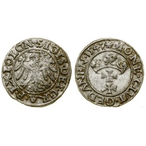 Poland, sheląg, 1547, Gdansk