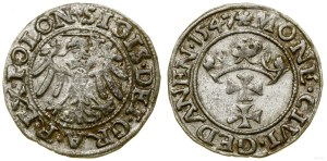 Poland, sheląg, 1547, Gdansk
