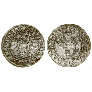 Poland, sheląg, 1547, Gdansk
