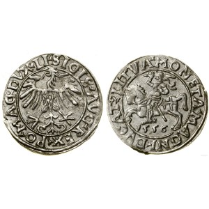 Polska, półgrosz, 1556, Wilno
