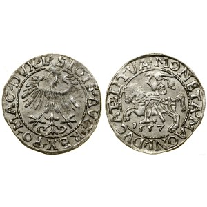 Polska, półgrosz, 1557, Wilno