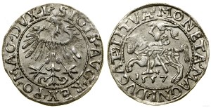 Poland, half-penny, 1557, Vilnius