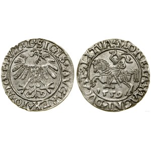 Polska, półgrosz, 1559, Wilno