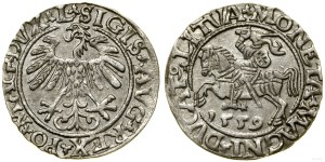 Poland, half-penny, 1559, Vilnius