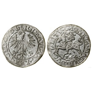 Polska, półgrosz, 1564, Wilno