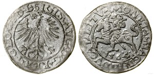 Poland, half-penny, 1564, Vilnius