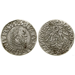 Herzogliches Preußen (1525-1657), Pfennig, 1545, Königsberg