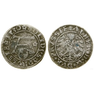 Kniežacie Prusko (1525-1657), šelak, 1530, Königsberg