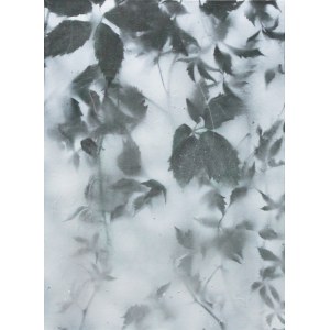 Ewa KOZERA (b. 1993), Grapevine, 2019