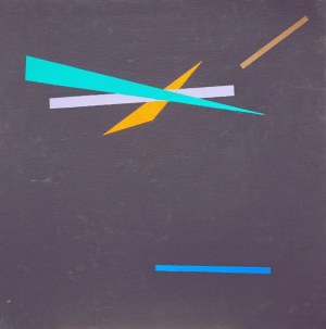 Kajetan Dłużniewski, Composition