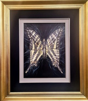 Anastasia Markovych, Ephemerality