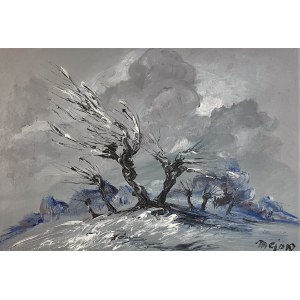 Andrzej Maciej CIOK (nato nel 1938), Inverno