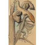 Kazimierz Mikulski (1918 Kraków - 1998 Kraków), Bestiarium - zestaw 5 ilustracji do czasopisma Przekrój, 1953