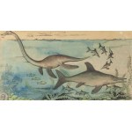 Kazimierz Mikulski (1918 Kraków - 1998 Kraków), Bestiarium - zestaw 5 ilustracji do czasopisma Przekrój, 1953