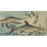 Kazimierz Mikulski (1918 Kraków - 1998 Kraków), Bestiarium - zestaw 5 ilustracji do czasopisma Przekrój, 1953