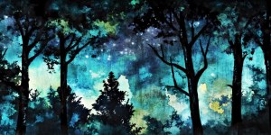 Jan Wysocki, Silence of the Forest