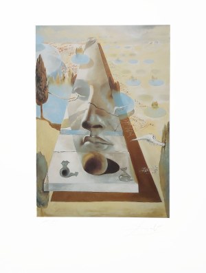Salvador Dali (1904 - 1989), 