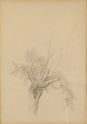 Józef Chełmoński (1849 Boczki near Łowicz - 1914 Kuklówka), 