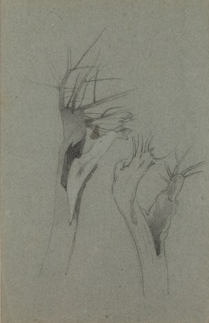 Józef Chełmoński (1849 Boczki near Łowicz - 1914 Kuklówka), 