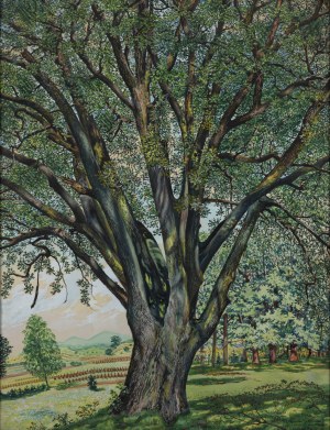 Karol Frycz (1877 Cieszkowy - 1963 Kraków), Summer Landscape with a Tree