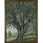 Karol Frycz (1877 Cieszkowy - 1963 Kraków), Krajobraz letni z drzewem