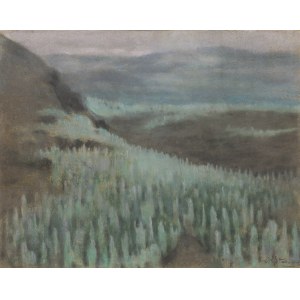 Kazimierz Stabrowski (1869 Kruplany k. Nowogródka - 1929 Warszawa), Widok na Pico del Teide na Teneryfie, 1913