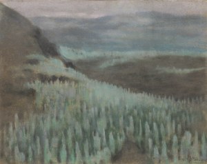 Kazimierz Stabrowski (1869 Kruplany near Novogrodek - 1929 Warsaw), View of Pico del Teide on Tenerife, 1913