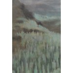 Kazimierz Stabrowski (1869 Kruplany k. Nowogródka - 1929 Warszawa), Widok na Pico del Teide na Teneryfie, 1913