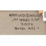 Adam Wojciechowski (ur. 1971, Ostrowiec Świętokrzyski), My Spaces 1.10, 2025