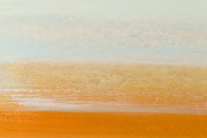 Pola Yankee (b. 1987, Golub Dobrzyn), 
