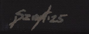 Patrycja Szmyt (b. 1999, Koscierzyna), 