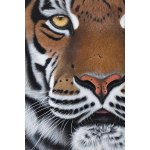 Paulina Wróblewska (ur. 1991, Poznań), Asur z cyklu Wild Cats, 2025