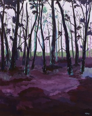 Magdalena Julia Wilga (b. 1996, Warsaw), 