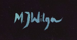Magdalena Julia Wilga (b. 1996, Warsaw), 