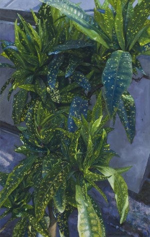 Luke Jacek (b. 1978), 