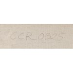 Andrzej Ciołek (ur. 1986, Chorzów), Circuses XXXX03, Dom idealny, 2025