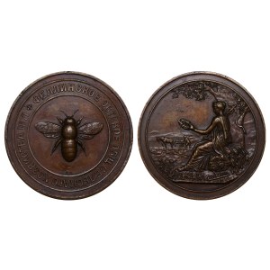 Russian Empire, Table medal, Fellin Estonian Agricultural Society, 1871 year